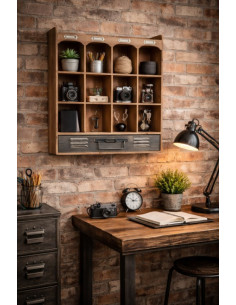 CABINET MURAL DE CURIOSITÉS