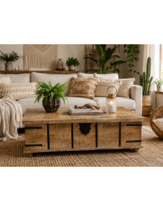 Grand Coffre Table Basse en...