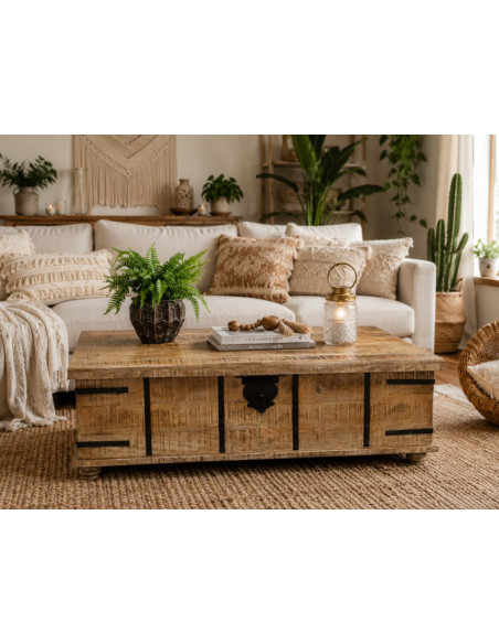 Grand Coffre Table Basse en Bois de Manguier