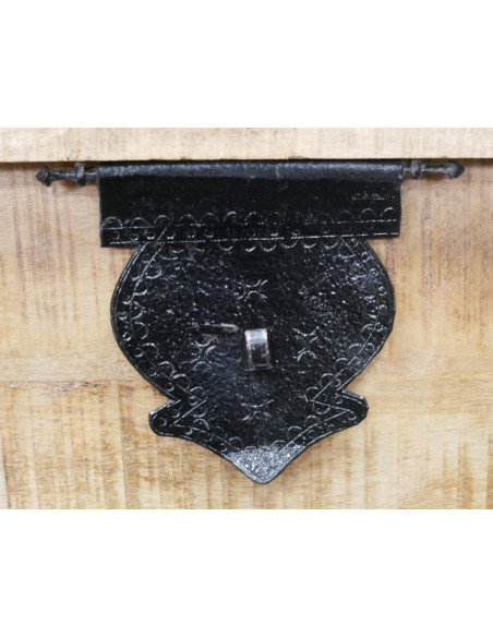 Grand Coffre Table Basse en Bois de Manguier