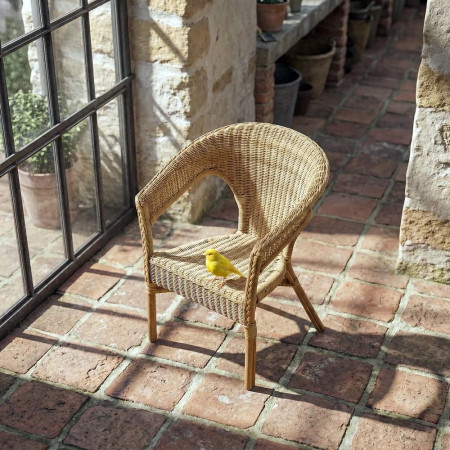 Lot de 4 Fauteuils en rotin empilable...