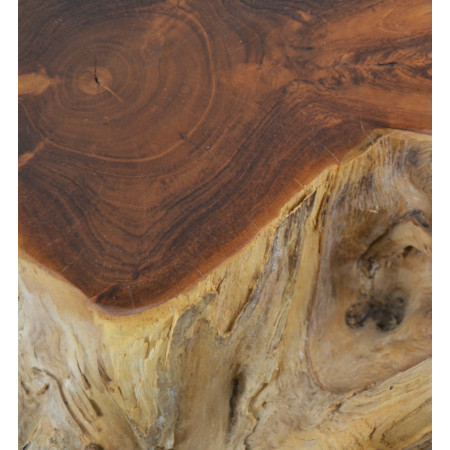 Table basse racine en teck blanchi...