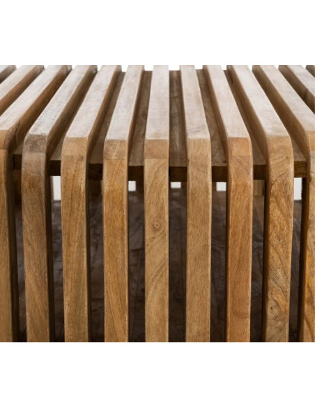 Table Basse Héli en Bois de Manguier avec Rangement