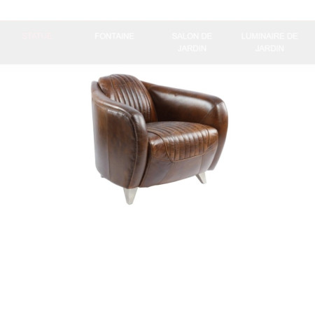 Fauteuil Club Sportster en Cuir...