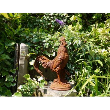 Grand coq décoratif en fonte effet...