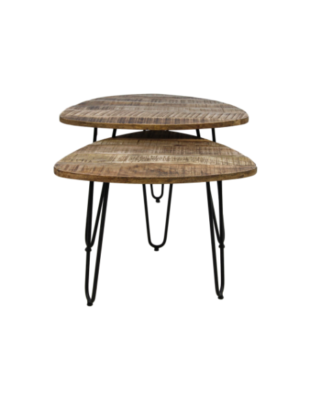 Lot de 2 tables basses gigogne moderne en bois et métal Dexter