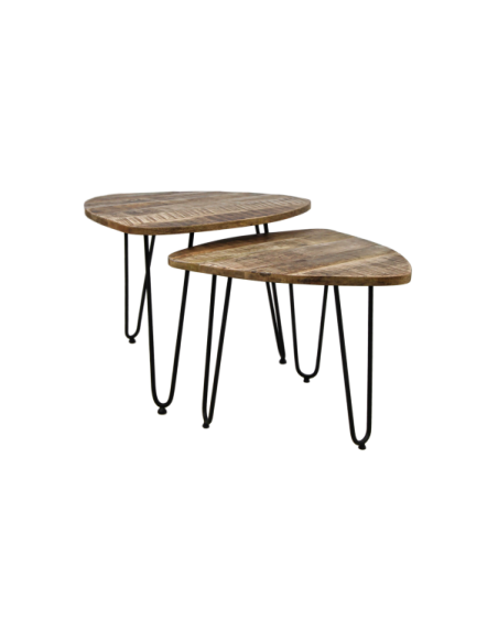 Lot de 2 tables basses gigogne moderne en bois et métal Dexter