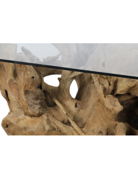 Table basse en verre et racine de teck